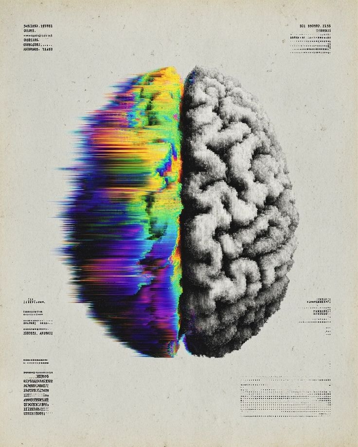 Un cerveau à moitié coloré, reflexion